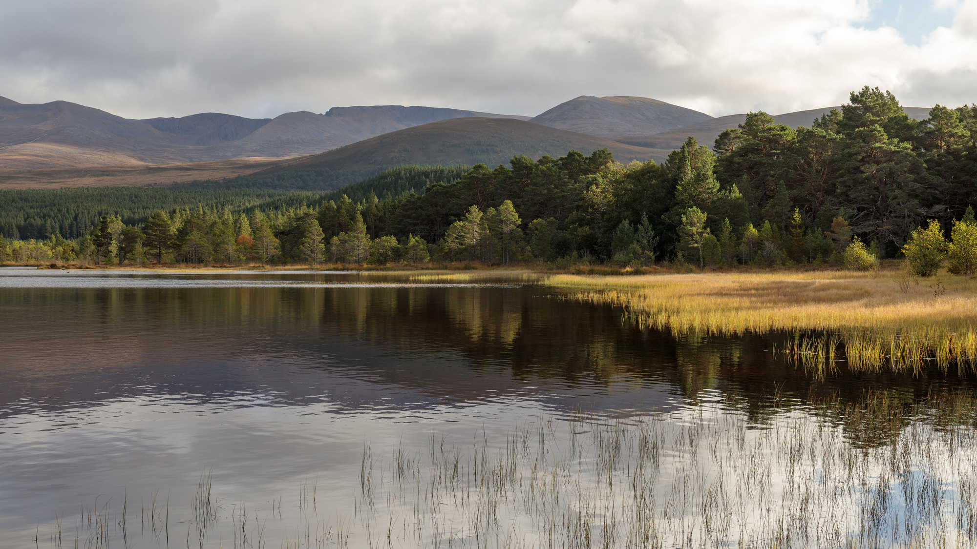 View of the loch with trees and hills in the background.