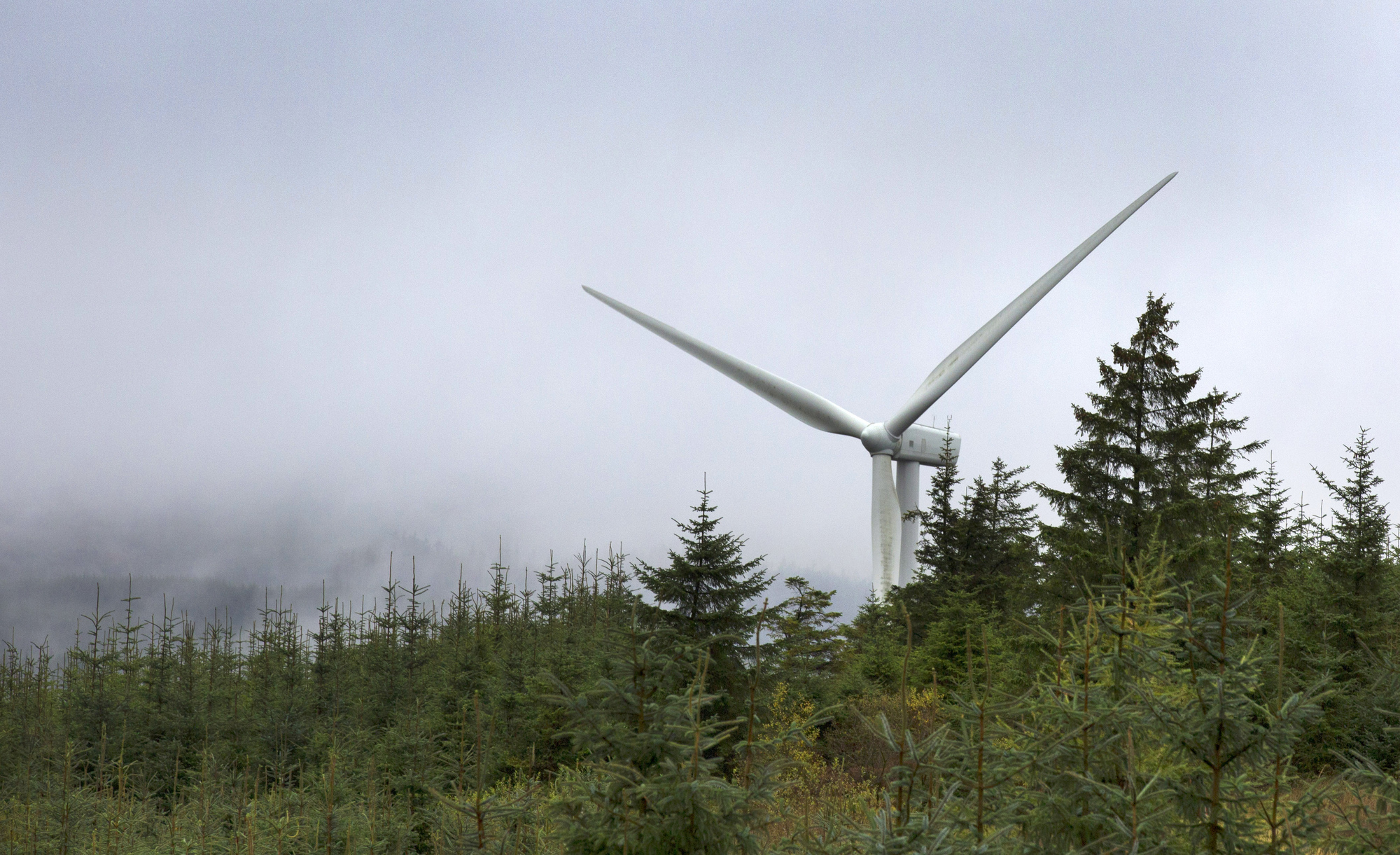 Turbines at a wind farm in the forest